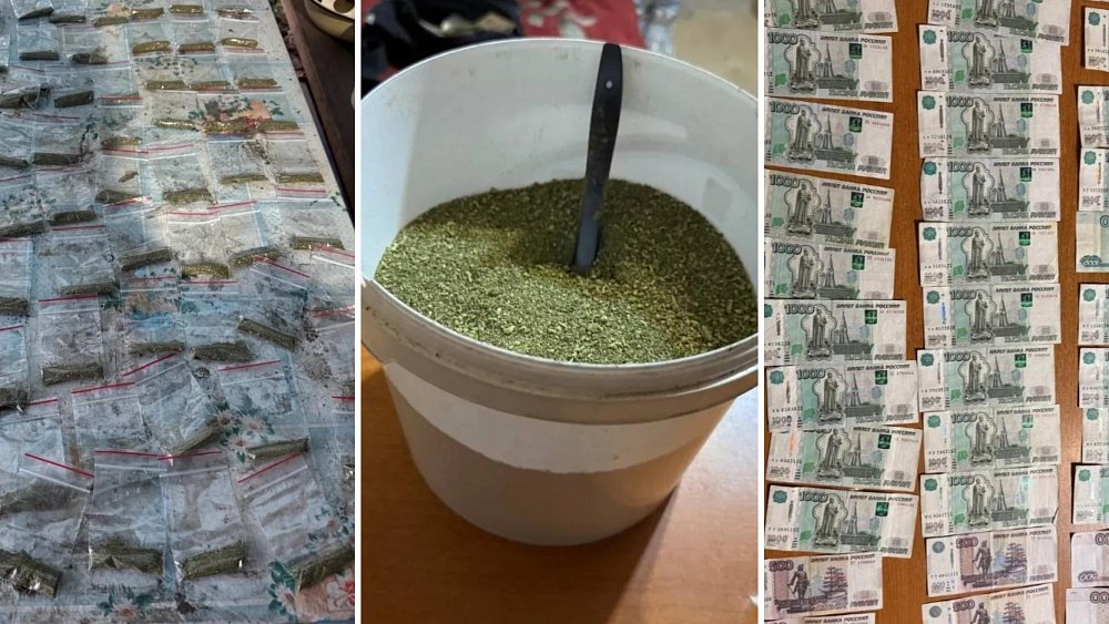 Два копейчанина превратили садовый домик в нарколабораторию