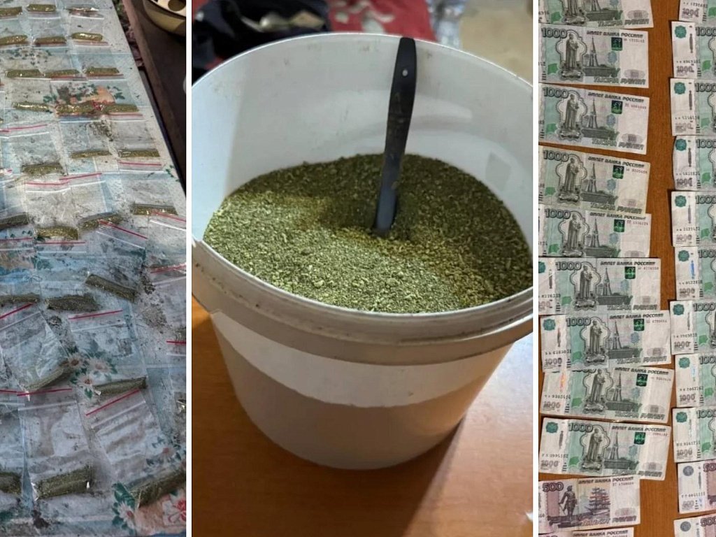 Два копейчанина превратили садовый домик в нарколабораторию