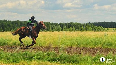 Россельхознадзор не пустил лошадей из Казахстана на российские соревнования
