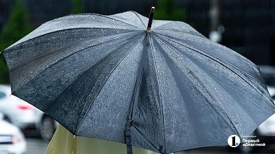 Вероятность гроз и ливней сохранится в Челябинской области 20 июля