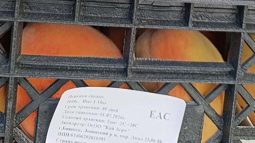 Россельхознадзор не пустил 20 тонн персиков на Южный Урал из Казахстана