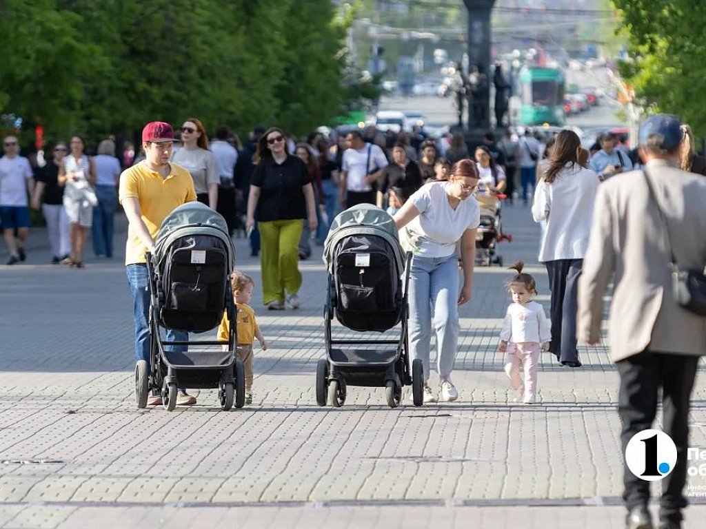 Многодетных родителей из Челябинской области отметили президентскими наградами