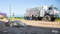 Под Челябинском прошли рейды на тепличных комплексах