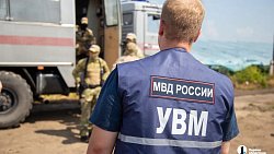 Под Челябинском прошли рейды на тепличных комплексах