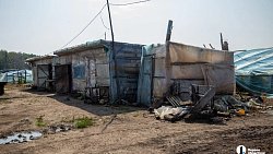 Под Челябинском прошли рейды на тепличных комплексах