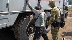 Под Челябинском прошли рейды на тепличных комплексах