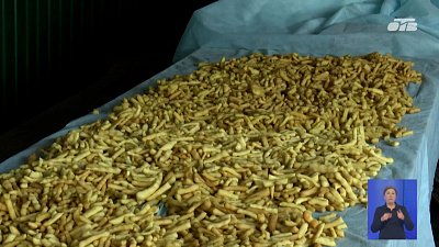 Пенсионеры из Кунашакского района помогают бойцам «за ленточкой»