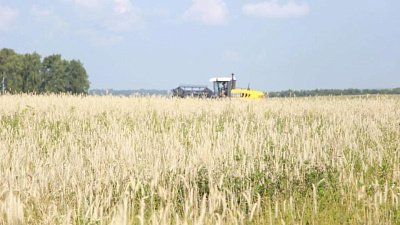 На полях Челябинской области началась уборка озимых культур