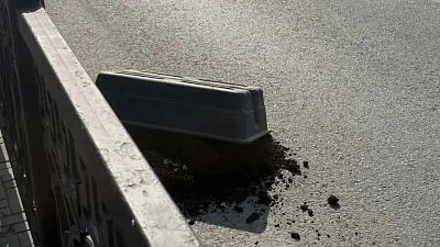 В Челябинске задержали хулигана, опрокинувшего кашпо с цветами в центре города