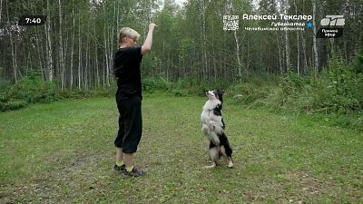 Хвостатые звезды экрана в рубрике «Усы, лапы и хвост»