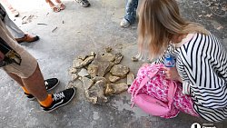 Звук, крушение и игры: как в челябинской водонапорке работала сибирская художница