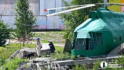 По следу в темноте: собаки ищут людей на руинах пионерского лагеря под Челябинском