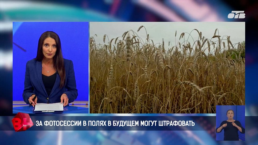 Южноуральцев в будущем могут штрафовать за фотосессии в полях