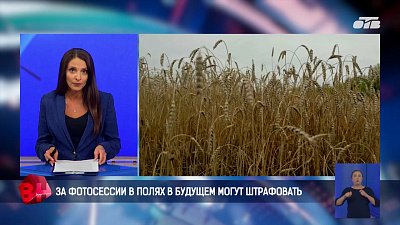 Южноуральцев в будущем могут штрафовать за фотосессии в полях