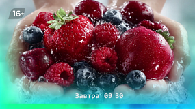 Почему нужно мыть ягоды и фрукты из собственного сада?