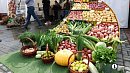 В Челябинске проходит 32‑я выставка-ярмарка «АГРО»