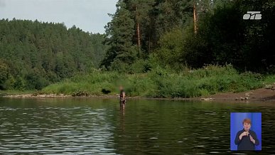Происшествия дня 11.08.2026