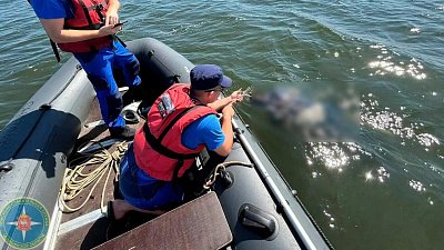 На озере Большой Кременкуль под Челябинском утонул сапбордист