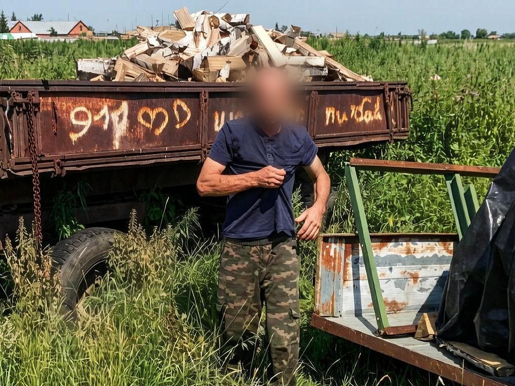 Под Челябинском злостному алиментщику присудили 20 часов работы на сенокосе