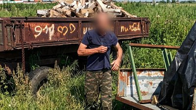 Под Челябинском злостному алиментщику присудили 20 часов работы на сенокосе