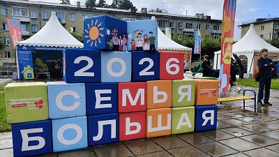 Сотни консультаций получили снежинцы на фестивале «Большая семья»