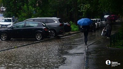 Из-за разгула стихии за выходные в Челябинске повалило 17 деревьев