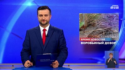 Специалисты и волонтеры Южного Урала заступили в «Воробьиный дозор»