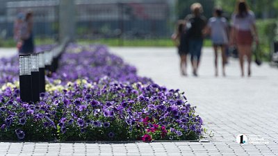 Сухую и теплую погоду спрогнозировали в Челябинской области 20 августа
