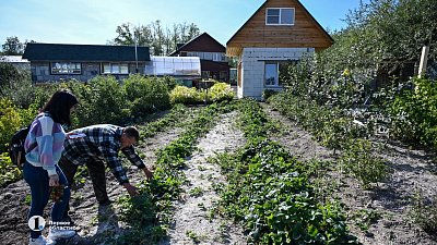 Южноуральцам бесплатно передали 15,6 тысячи участков под гаражами