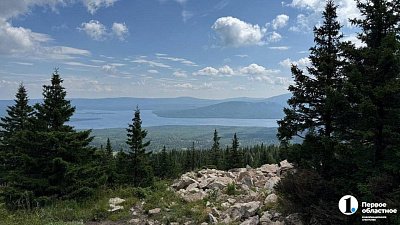 Парень и девушка ушли собирать ягоды в лес и пропали