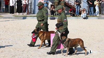 Еще шесть служебных собак отправили в зону СВО из Челябинска