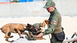 Еще шесть служебных собак отправили в зону СВО из Челябинска