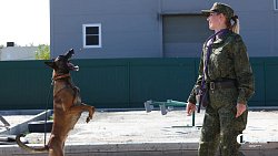 Еще шесть служебных собак отправили в зону СВО из Челябинска