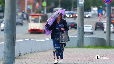 В Челябинской области 26 августа пройдут дожди и усилится ветер