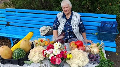 Майор милиции в отставке выращивает на Южном Урале тыквы по 18 кг 