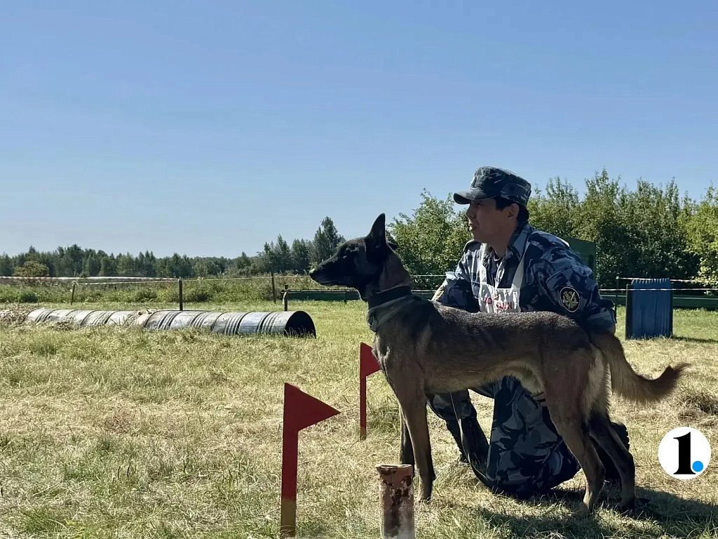 В Челябинской области прошли соревнования кинологов и их служебных собак