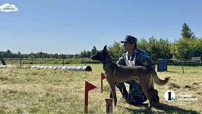 В Челябинской области прошли соревнования кинологов и их служебных собак