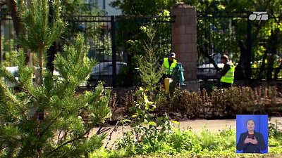 Зона у легкоатлетического манежа УралГУФКа станет частью городского бора