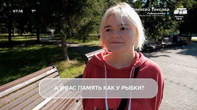 Советы челябинцев в опросе «Как все помнить?»