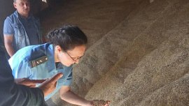 Элеваторы Южного Урала начали прием зерна нового урожая на хранение