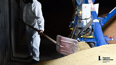 Элеваторы Челябинской области начали прием нового урожая зерна