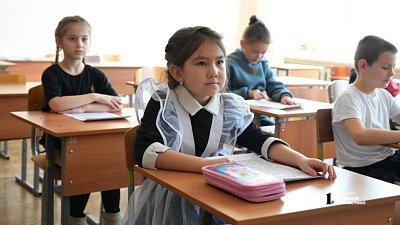 Электронные дневники перестали работать в Челябинской области