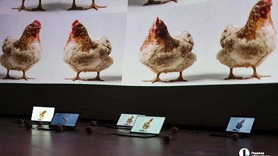 Курицы, бабочки и Будда: в Челябинске открылась выставка цифрового искусства