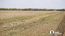 В Челябинской области в сельхозоборот вернули 448 гектаров земель