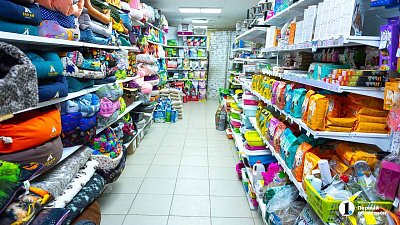 В Челябинске на 7% сократилось число зоомагазинов