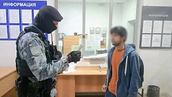 За сутки из Челябинской области принудительно выдворили 23 мигранта