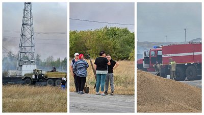 В Варненском округе от ландшафтных пожаров сгорели несколько частных домов