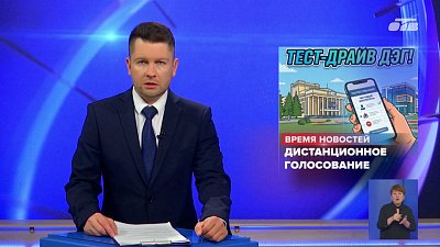 Южноуральцам предложили пройти тренировку дистанционного электронного голосования