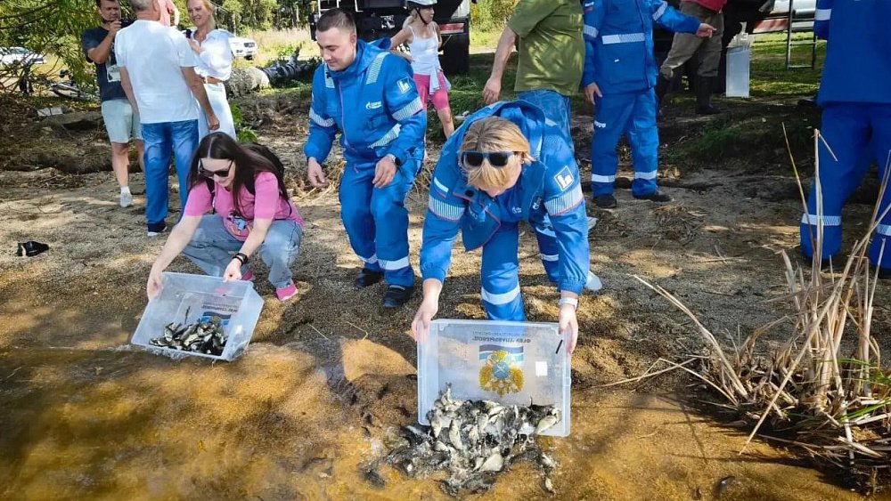 В Челябинске выпустили более 11 тысяч мальков сазана в Шершневское водохранилище
