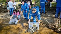 В Челябинске выпустили более 11 тысяч мальков сазана в Шершневское водохранилище